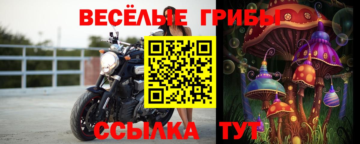 Галлюциногенные грибы Psilocybine cubensis  Галлюциногенные грибы мицелий  Вход с VPN  Трёхгорный 